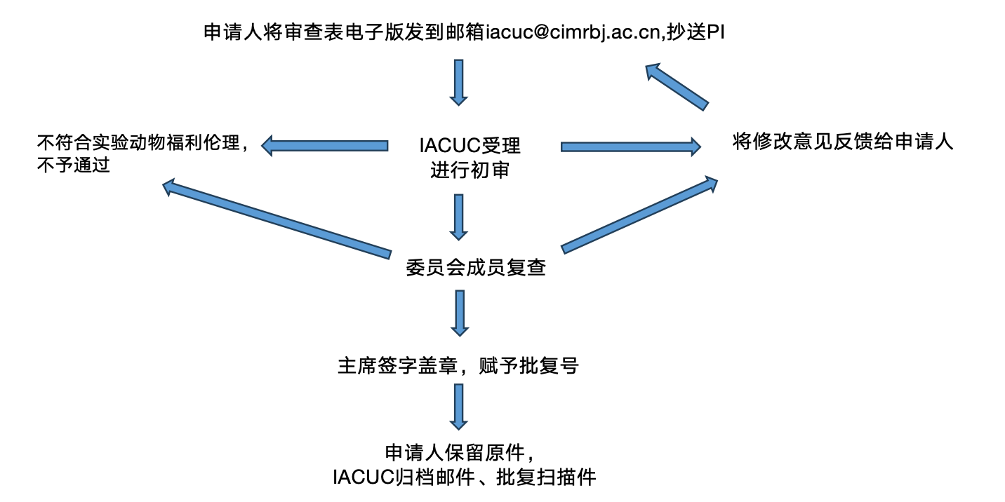 伦理审查