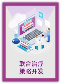 联合治疗策略开发