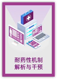 耐药性机制解析与干预